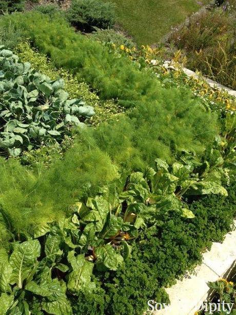 10 Garden Bed Designs 10 Garden Bed Designs