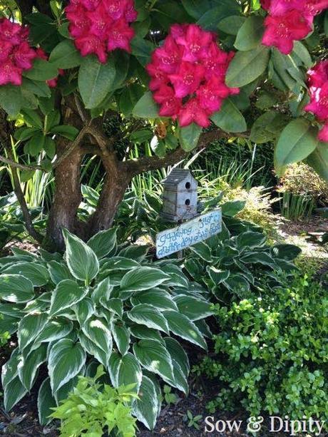 10 Garden Bed Designs 10 Garden Bed Designs