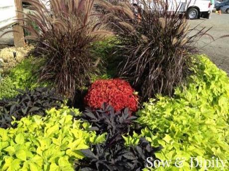 10 Garden Bed Designs 10 Garden Bed Designs