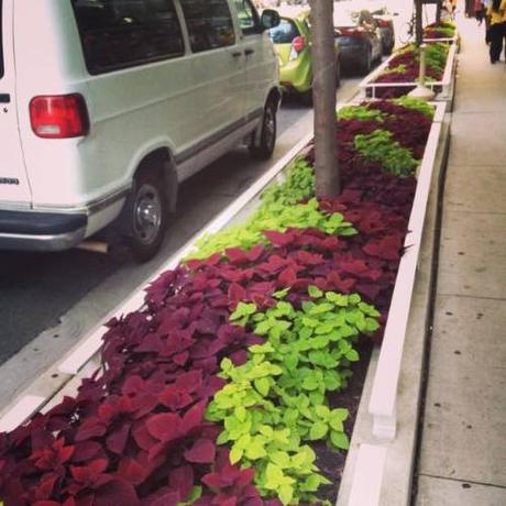 10 Garden Bed Designs 10 Garden Bed Designs