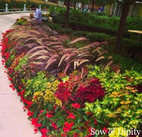 10 Garden Bed Designs 10 Garden Bed Designs