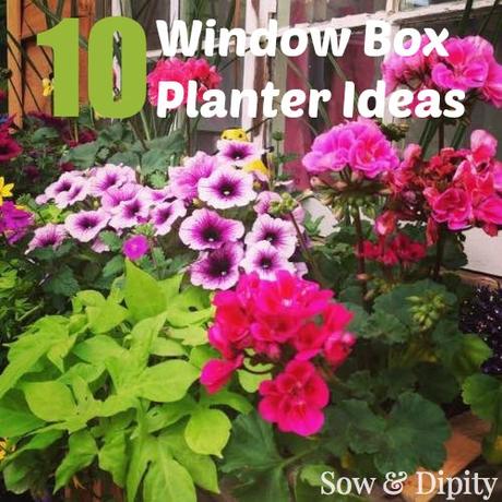 10 Garden Bed Designs 10 Garden Bed Designs