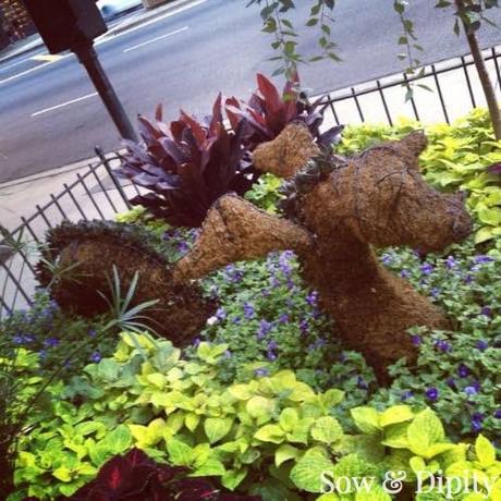 10 Garden Bed Designs 10 Garden Bed Designs