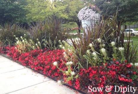 10 Garden Bed Designs 10 Garden Bed Designs