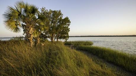 7 Fun Things to Do in Gulf County, Florida An Indian Pass Adventure