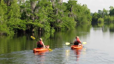 7 Fun Things to Do in Gulf County, Florida Kayak Through the Dead Lakes