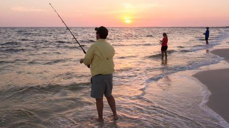 7 Fun Things to Do in Gulf County, Florida Visit a Different Beach a Day