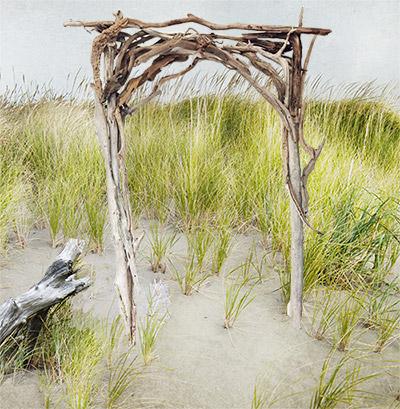 driftwood arch