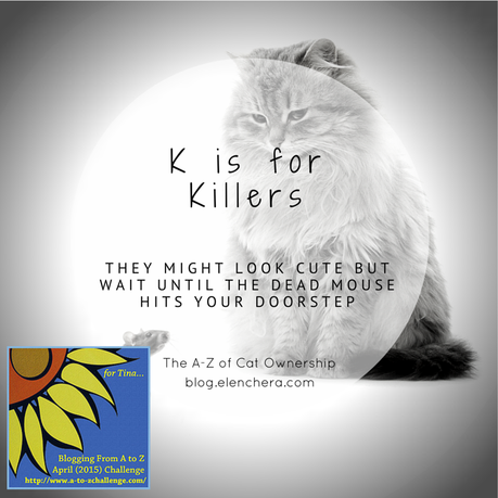 A-Z of Cats: K is for Killers (#AtoZChallenge) A-Z of Cats: K is for Killers (#AtoZChallenge)