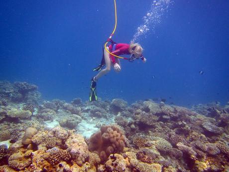 Glorious underwater life in Maldives IMG_6858