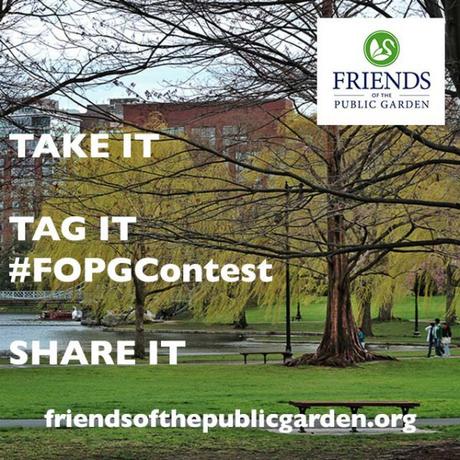 FOPG Launches Photo Contest
