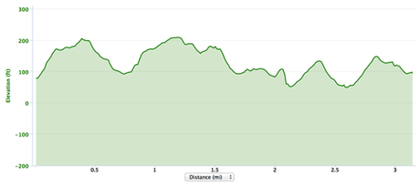The 30th Carlsbad 5000 Carlsbad 5000 course elevation profile