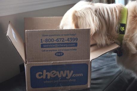 chewy.com review, online pet store, dog treats