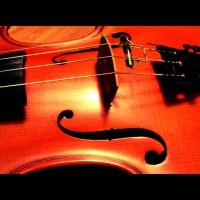 Tiny Drops – Sonographia f hole