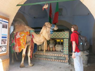 Backpacking in Tunisia: Top 5 Sights in Kairouan Bir Baroutta and the camel connected to Mecca.