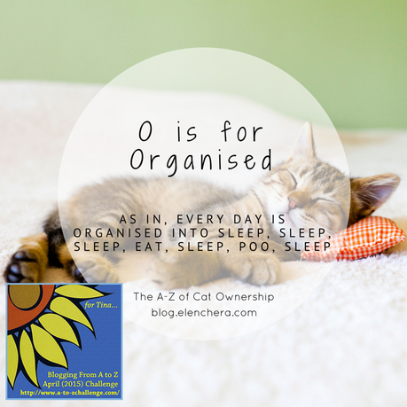 A-Z of Cats: O is for Organised (#AtoZChallenge) A-Z of Cats: O is for Organised (#AtoZChallenge)