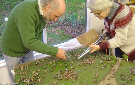 Conservation: Kelvin and Mary Thatcher used a vacuum cleaner to help remove the grime which had built up