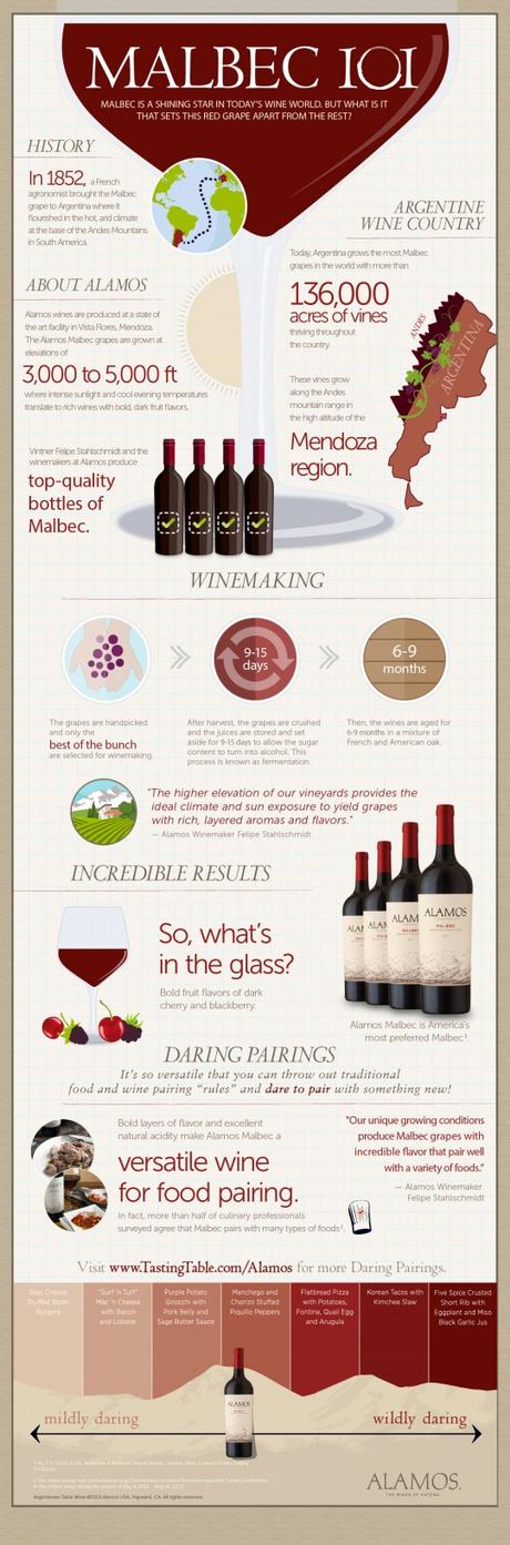 Malbec Facts on World Malbec Day Malbec 101