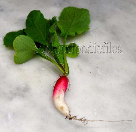 Gluten-free Dairy-free fresh chervil soup & my 1st produce! Gluten-free Dairy-free fresh chervil soup & my 1st produce!