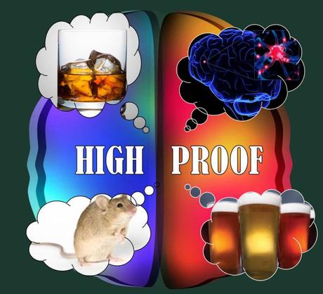 Top 8 Neuroscience and Behavior Podcasts cropped-highproof_splash.jpg