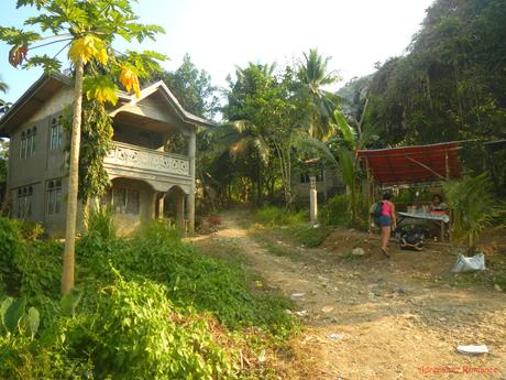 Poog Crag: A Brand-New Rock Climbing Destination in a Tropical Paradise Poog Rock Climbing