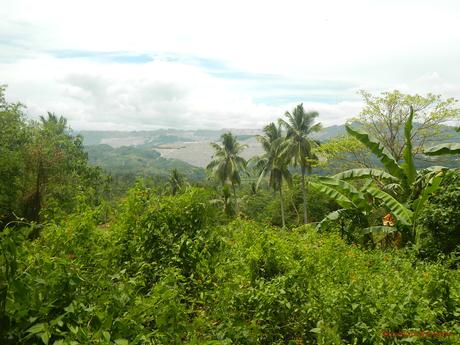 Poog Crag: A Brand-New Rock Climbing Destination in a Tropical Paradise Poog Rock Climbing