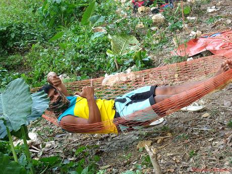 Poog Crag: A Brand-New Rock Climbing Destination in a Tropical Paradise Poog Rock Climbing