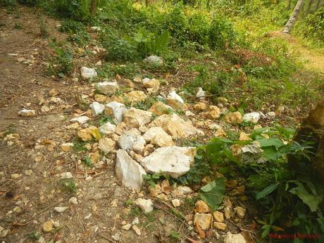 Poog Crag: A Brand-New Rock Climbing Destination in a Tropical Paradise Poog Rock Climbing