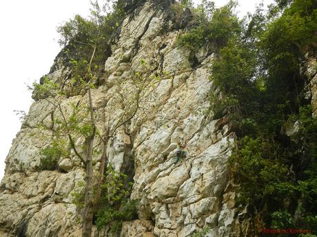 Poog Crag: A Brand-New Rock Climbing Destination in a Tropical Paradise Poog Rock Climbing