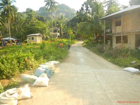 Poog Crag: A Brand-New Rock Climbing Destination in a Tropical Paradise Poog Rock Climbing