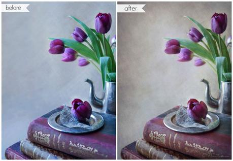 Create a Painterly Canvas Effect with Textures and Photo Veil [Photo Recipe]