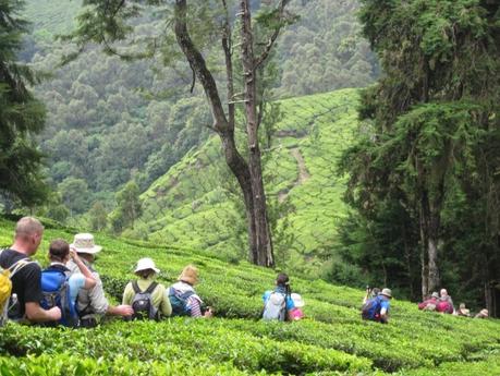 Enjoy the Nature and Adventure in Thekkady