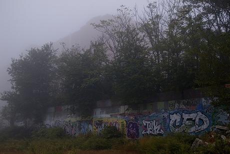 6am mist on the embankment.jpg