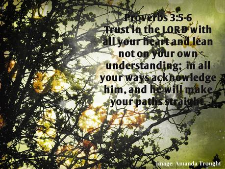 Word for the Week - Proverbs 3:5-6
