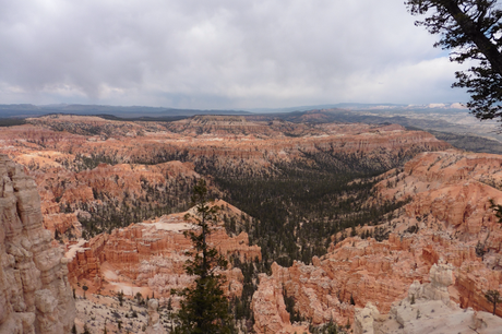 Day 30: Bryce Canyon Day