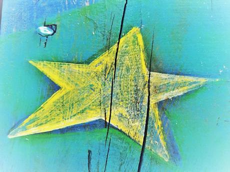 Star Burst © lynette sheppard