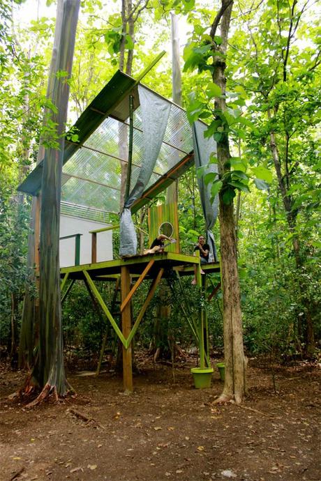 Branch Out: 8 Modern Tree Houses Cantilevered tree house in the Puerto Rico tropics