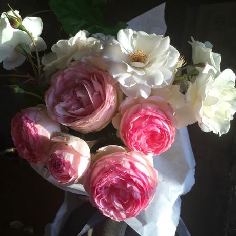 Another Magical Laguna Beach Afternoon. Another Magical Laguna Beach Afternoon.