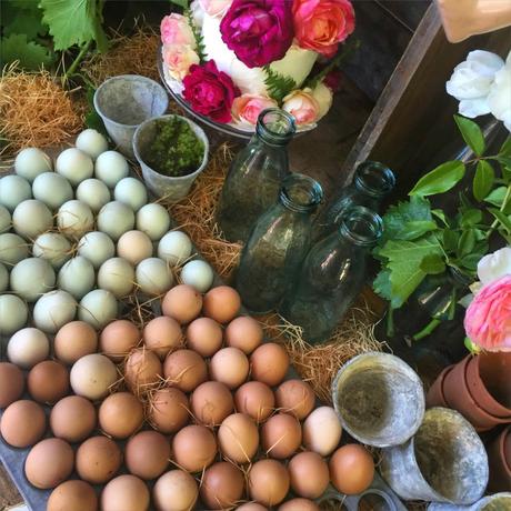 Another Magical Laguna Beach Afternoon. Another Magical Laguna Beach Afternoon.