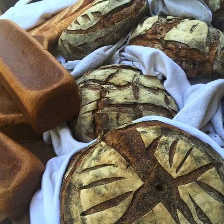 Another Magical Laguna Beach Afternoon. Another Magical Laguna Beach Afternoon.