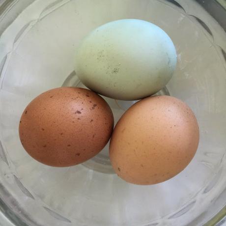 Another Magical Laguna Beach Afternoon. Another Magical Laguna Beach Afternoon.