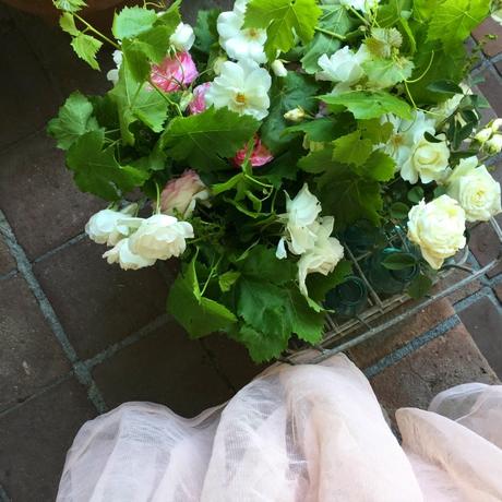 Another Magical Laguna Beach Afternoon. Another Magical Laguna Beach Afternoon.