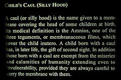 Child's Caul (Silly Hood)