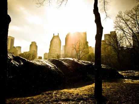 New York-64 central park.