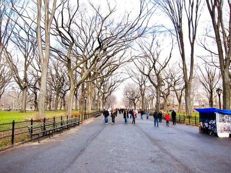 New York-72 central park.