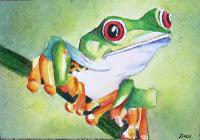 Tree Frog - ACEO