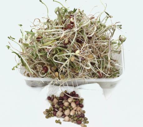 Sprouted seeds - Healthy Eating