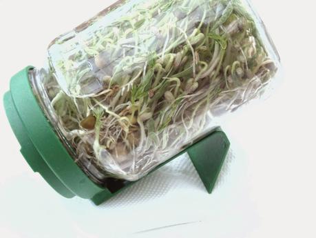 Sprouted seeds - Healthy Eating