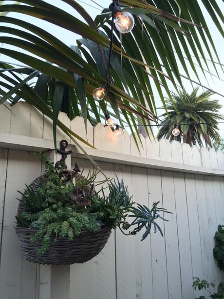 {the new} home sweet home Succulents-Plants-Patio-Lights-Sting-Crate-and-Barrel-White-Fence-Beach-Anchor-Hook-Rustic-Cast-Iron-Palm-Frond-Tree-Basket-Hanging