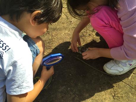 Exploring Nature With Science Tools
